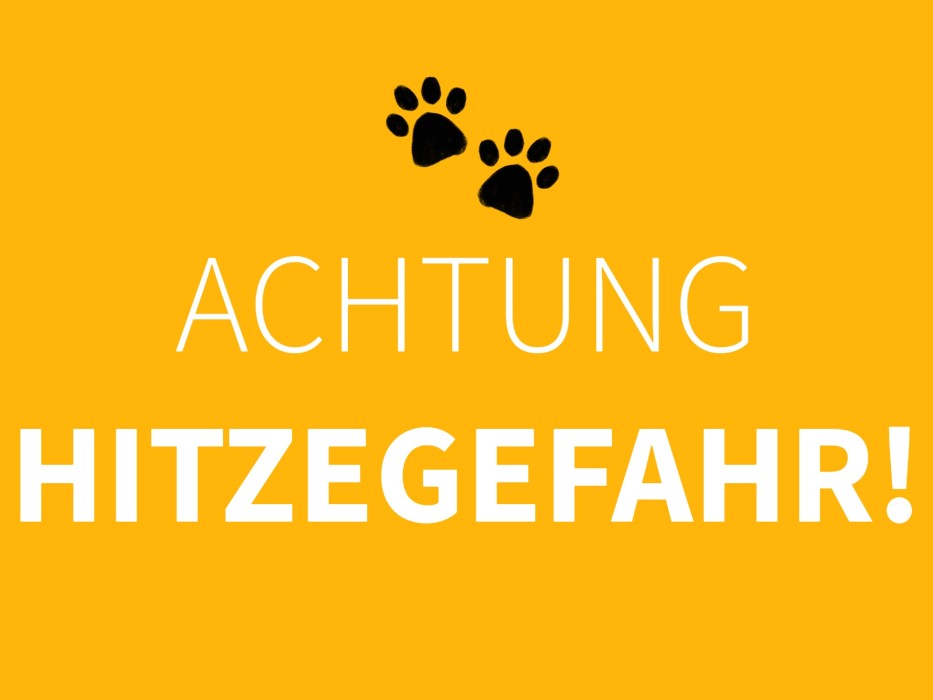 Achtung Hitzewarnung: Lasst eure Hunde nicht im Auto! ☀️