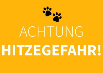 Achtung Hitzewarnung: Lasst eure Hunde nicht im Auto! ☀️